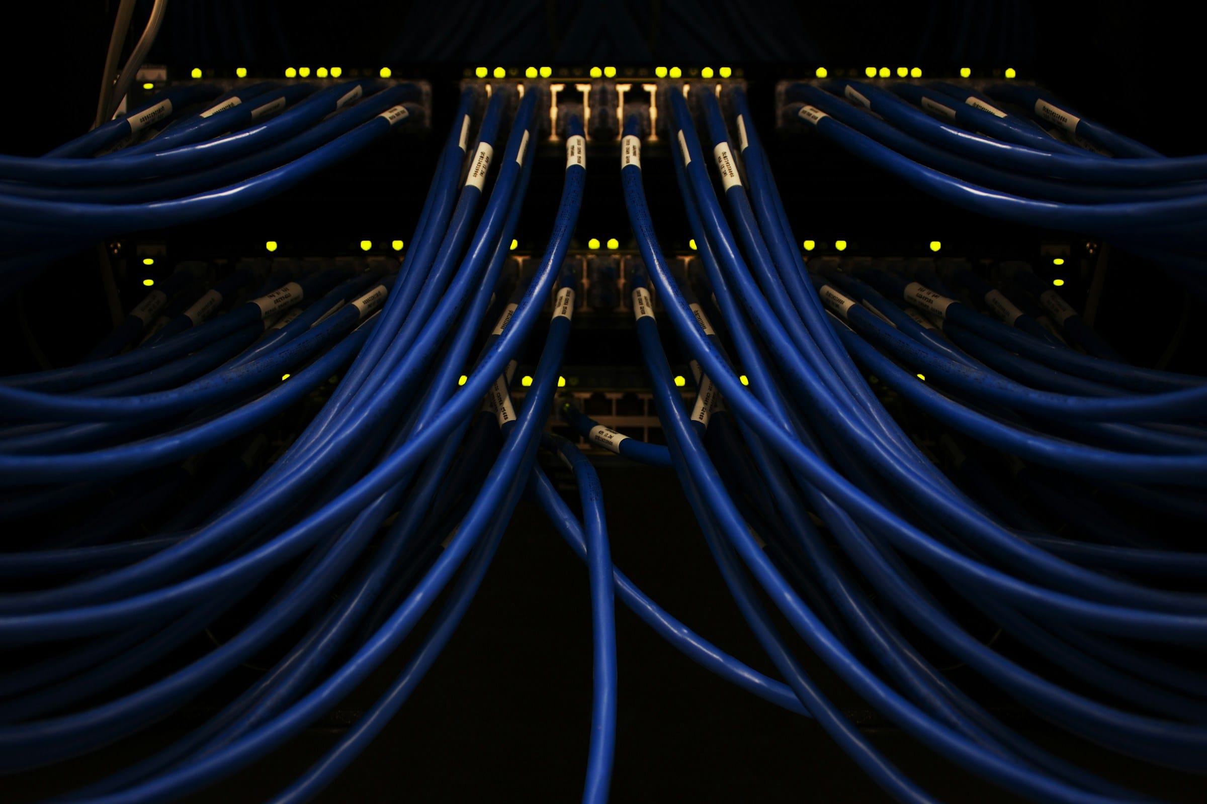 Dozens of blue network cables running down from a row of connectors in a dark server rack lit by small indicator lights.